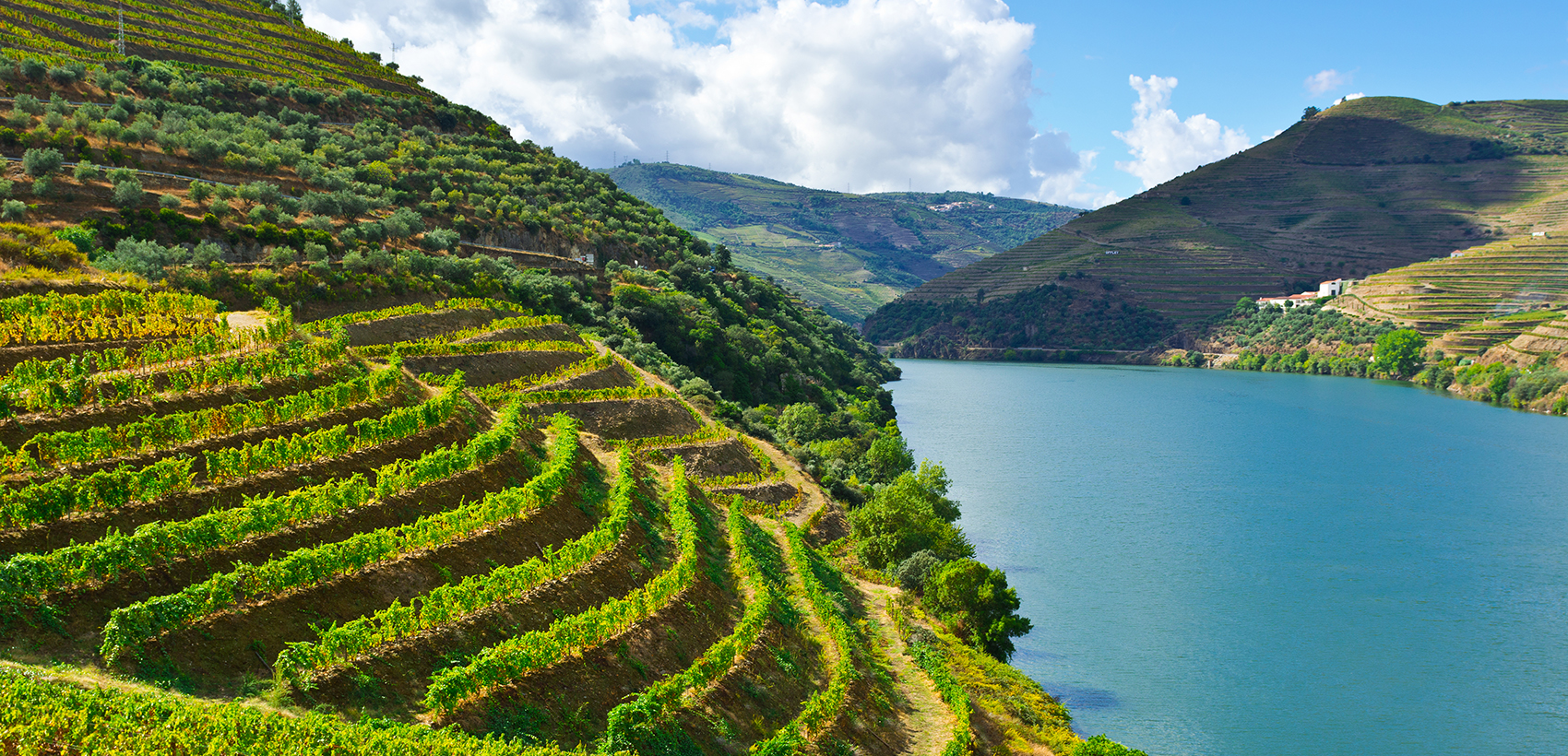 Momentos de Degustação: Rota do Vinho Verde