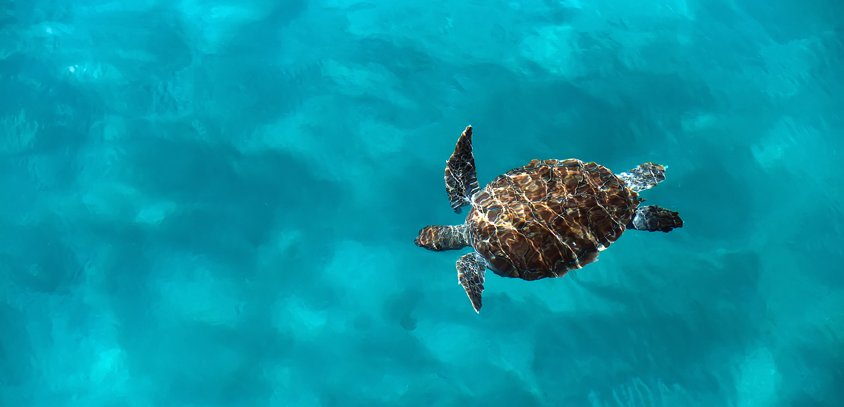 Barbados - Galeria 2