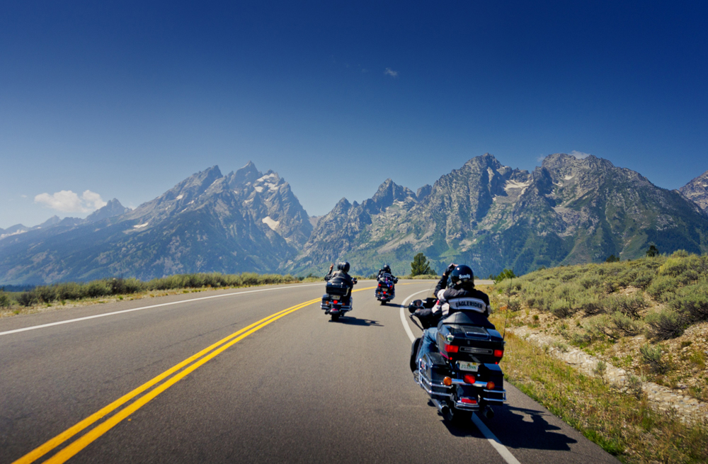 Chicago - Galeria 11