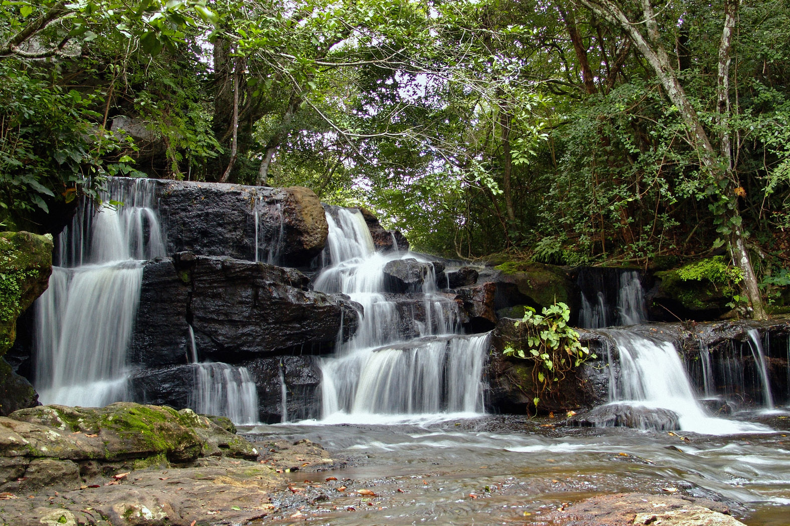 Fortaleza - Galeria 14