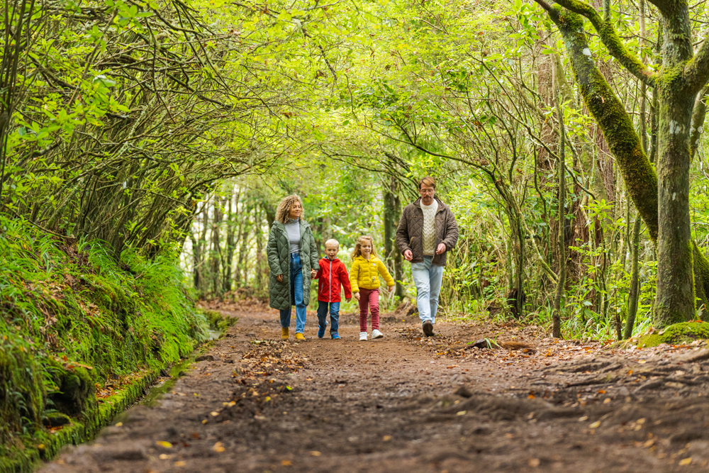 Funchal - Galeria 12