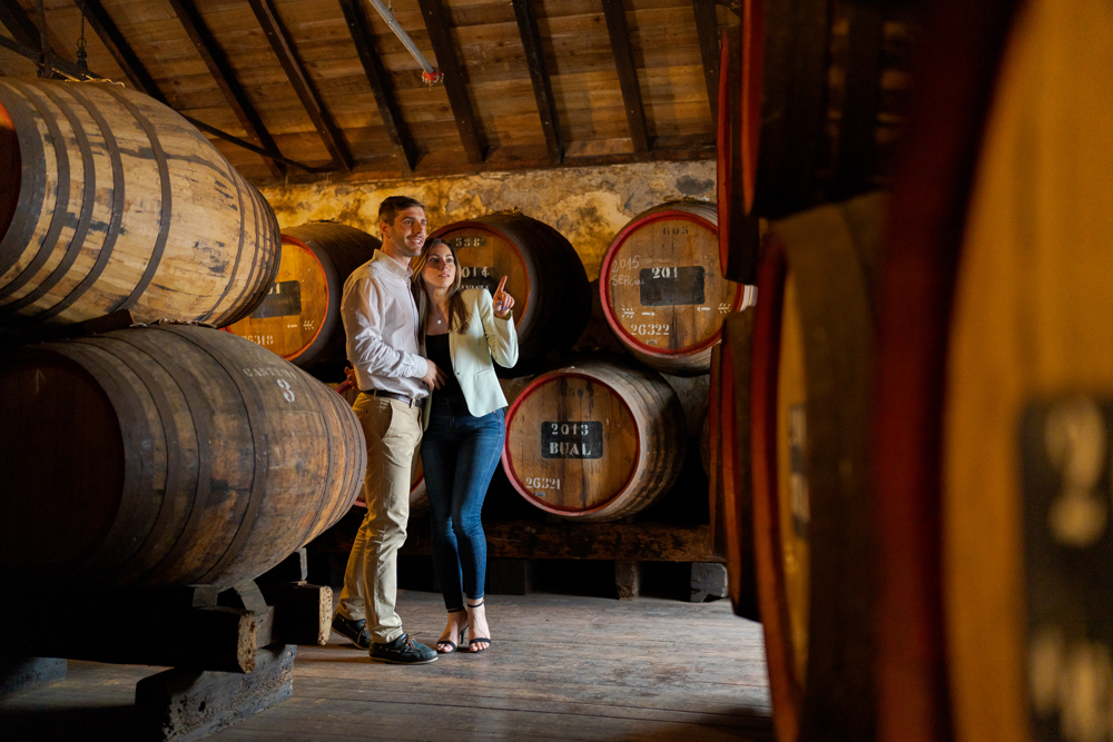 Funchal - Galeria 14