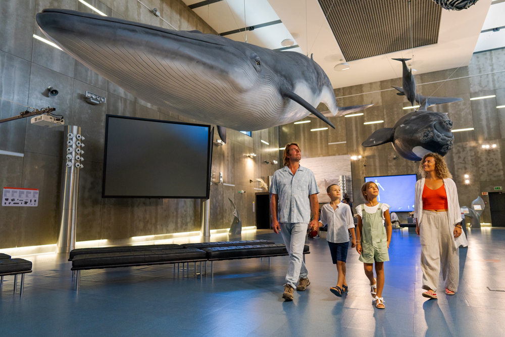 Funchal - Galeria 16