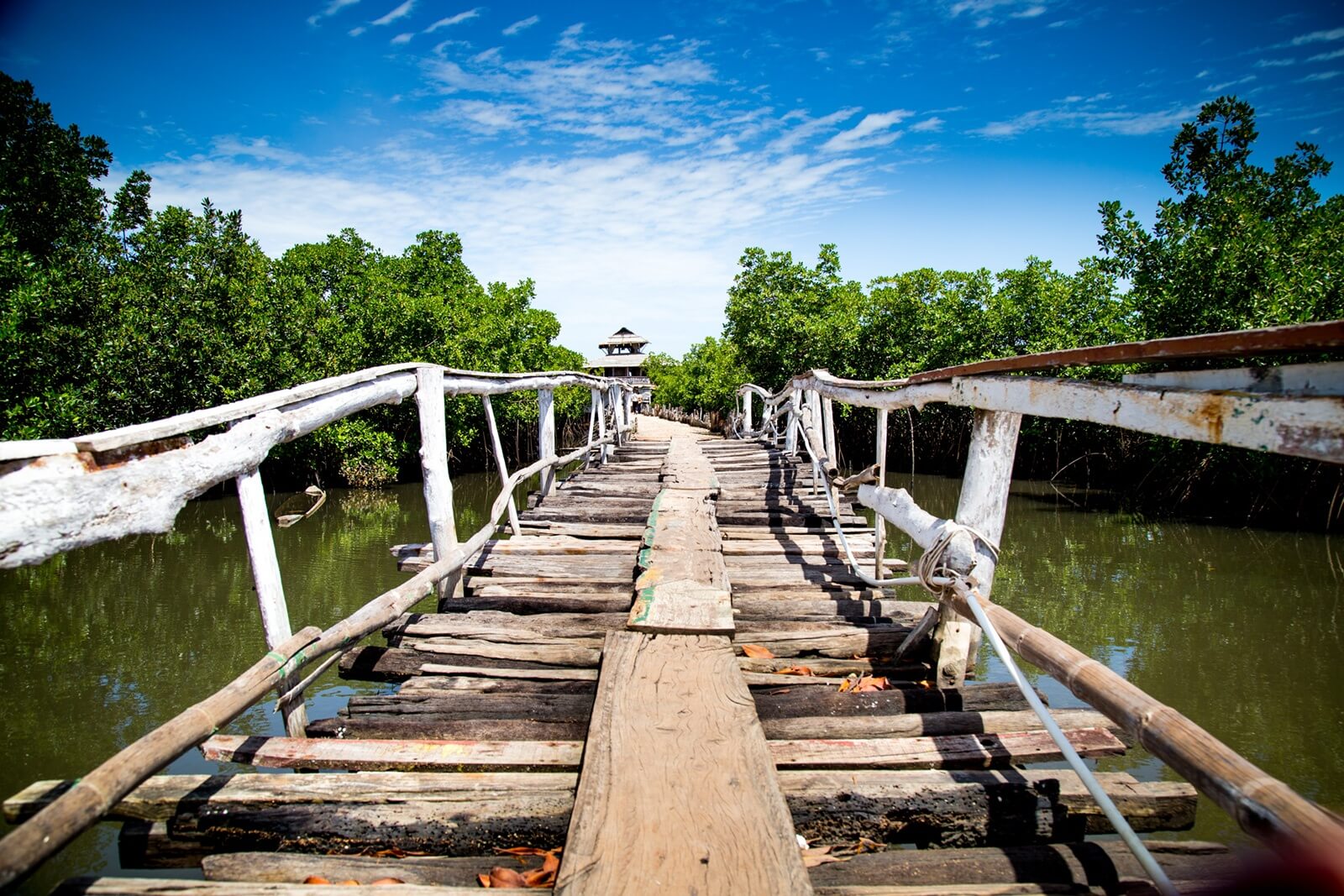 Gâmbia - Galeria 20