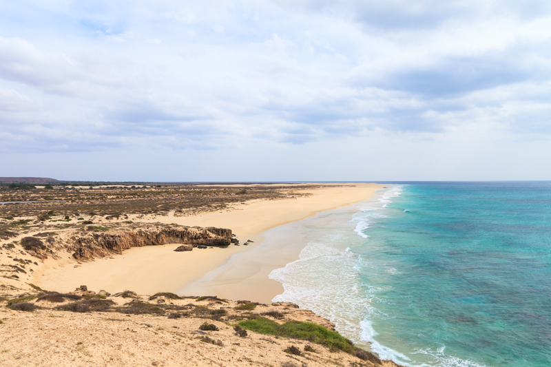 Ilha da Boavista - Galeria 11