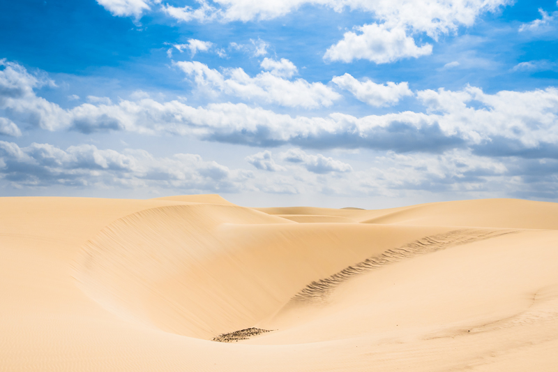 Ilha da Boavista - Galeria 13